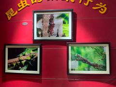 -上海昆虫博物馆