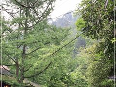 -青城山