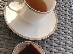 -诺莱仕游艇会