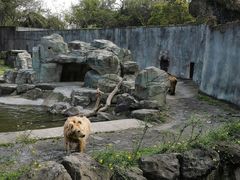 -宁波野生动物园