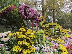 -杭州植物园
