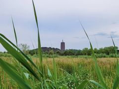 -永定河休闲森林公园