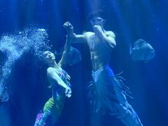 -华夏文旅海洋公园