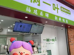 -一树一叶·福建茶档(石鼓路店)