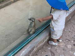 -秦皇岛野生动物园