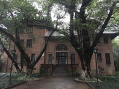 -中山大学学者灵芝(园南路店)