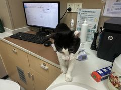 -瑞鹏宠物医院·超声·骨科·奇麟分院(蜀都万达店)