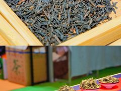 -宁波国际会展中心