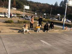 -大胖虎驾考驾校(郭巷训练场)