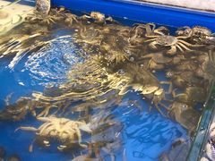 -川骄海鲜自助(河东店)