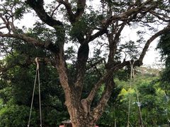 景观位-松鹤山庄