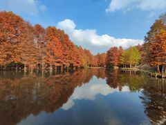 -WeLope紫金山探险公园