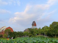 -美兰湖景区