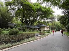 -晓港公园