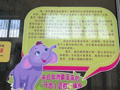 -保定市动物园