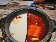 营养奶汤锅底-七秒鱼·斑鱼火锅(太阳城店)