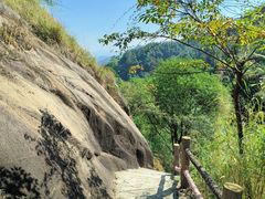 -广州白江湖森林公园