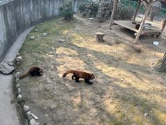 -西安秦岭野生动物园