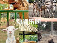 -郑州市动物园