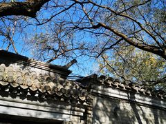 -北京国子监胡同