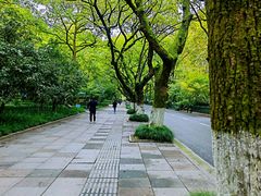 -浙江美术馆