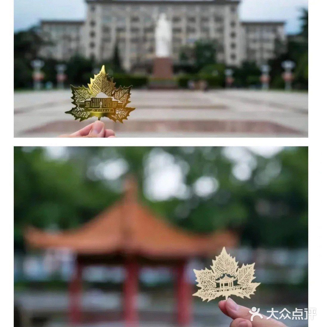 华科大独家限定网红款🍁🍦