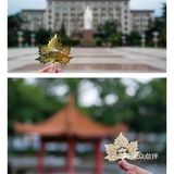 华科大独家限定网红款🍁🍦