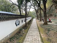 -上海佘山国家森林公园天马山园