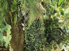 -忆江南·生态餐饮宴会酒店