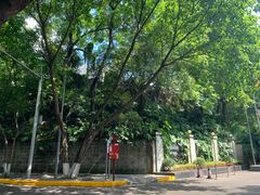 -西南政法大学(沙坪坝校区)