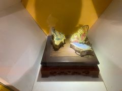 -上海昆虫博物馆