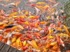 -泰安地下龙宫景区