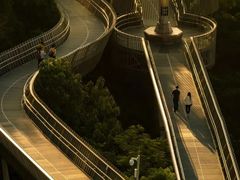 -福道
