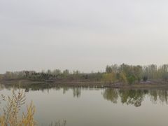 -东郊湿地公园