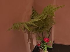 -泰·菩提树下[泰式按摩x精油SPAx肩颈头疗](新景店)