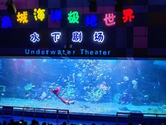 -泉城欧乐堡海洋极地世界