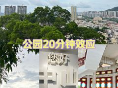 -紫马岭公园