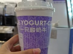 -一只酸奶牛(来福士店)