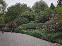 -北坞公园