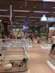 -小象动悟公园(龙湖亦庄天街店)