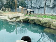 -常州淹城野生动物世界