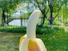 -贡湖湾湿地公园