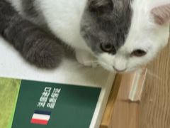 -瑞鹏宠物医院·骨科·猫科·内科(第一中心)
