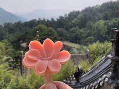 -潭柘寺景区