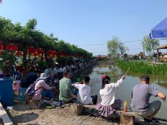 -同銮特种养殖场·龙虾垂钓