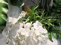 -万福城商业广场