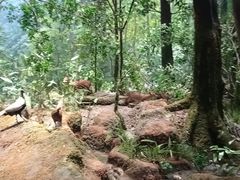-浙江自然博物院(杭州馆)
