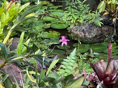 -中国科学院西双版纳热带植物园