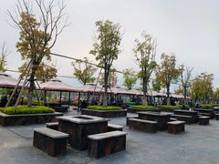 -春花秋色城市公园