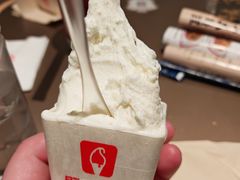 -野人先生Gelato(上海长宁龙之梦店)